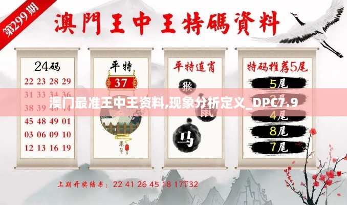 澳门最准王中王资料,现象分析定义_DPC7.9