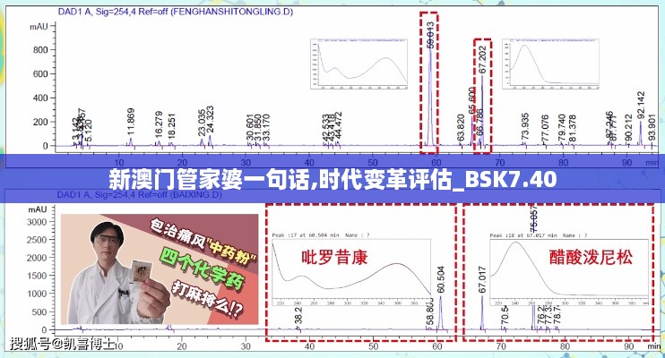 新澳门管家婆一句话,时代变革评估_BSK7.40