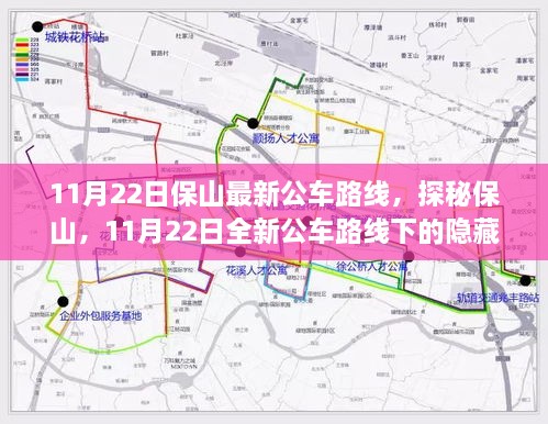 探秘保山，最新公车路线下的美食宝藏之旅（11月22日）