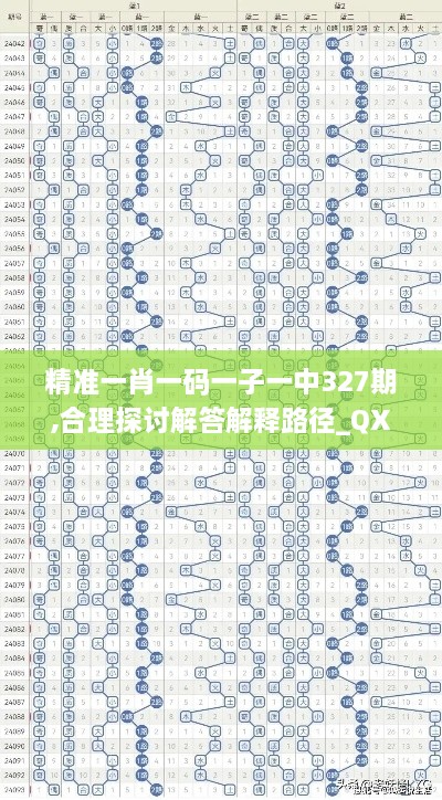 精准一肖一码一子一中327期,合理探讨解答解释路径_QXI7.76