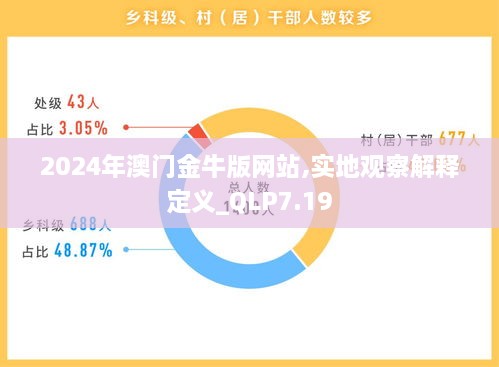 2024年澳门金牛版网站,实地观察解释定义_QLP7.19