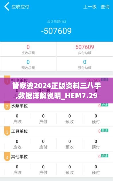 管家婆2024正版资料三八手,数据详解说明_HEM7.29