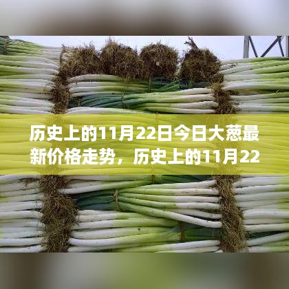 历史上的11月22日大葱最新价格走势深度解析及今日市场动态