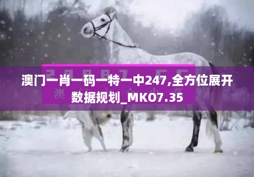 澳门一肖一码一特一中247,全方位展开数据规划_MKO7.35