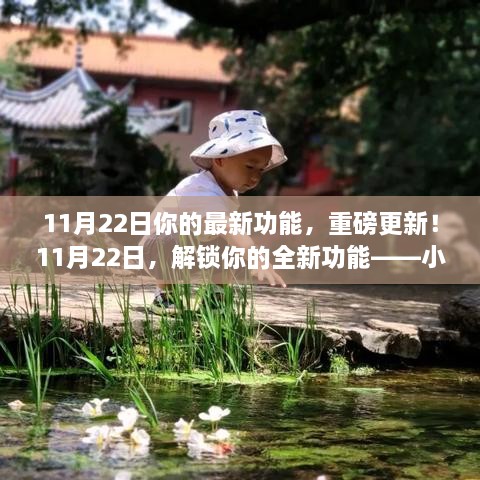 11月22日小红书全新功能重磅更新，解锁全新体验，等你来探索！