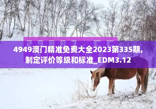 4949澳门精准免费大全2023第335期,制定评价等级和标准_EDM3.12