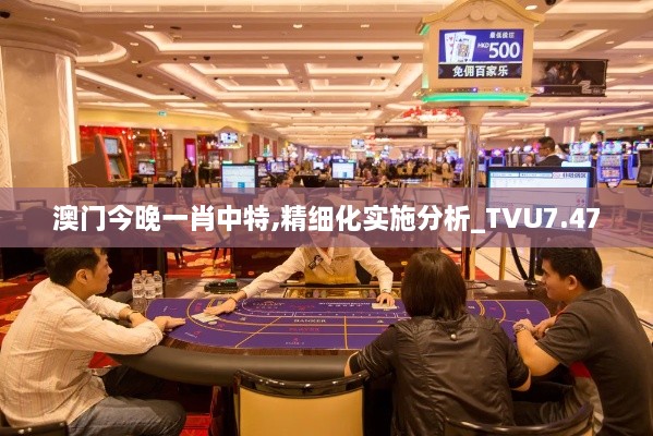 澳门今晚一肖中特,精细化实施分析_TVU7.47