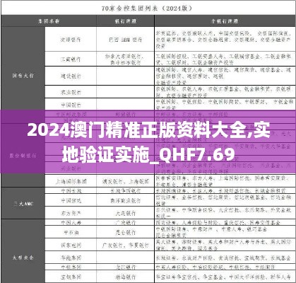 2024澳门精准正版资料大全,实地验证实施_QHF7.69