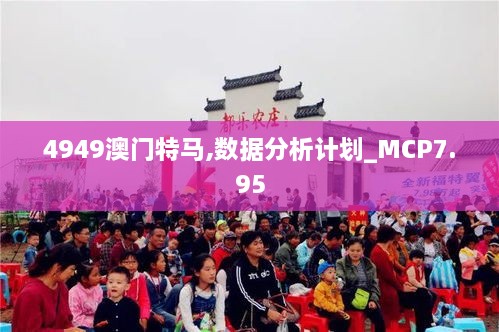 4949澳门特马,数据分析计划_MCP7.95