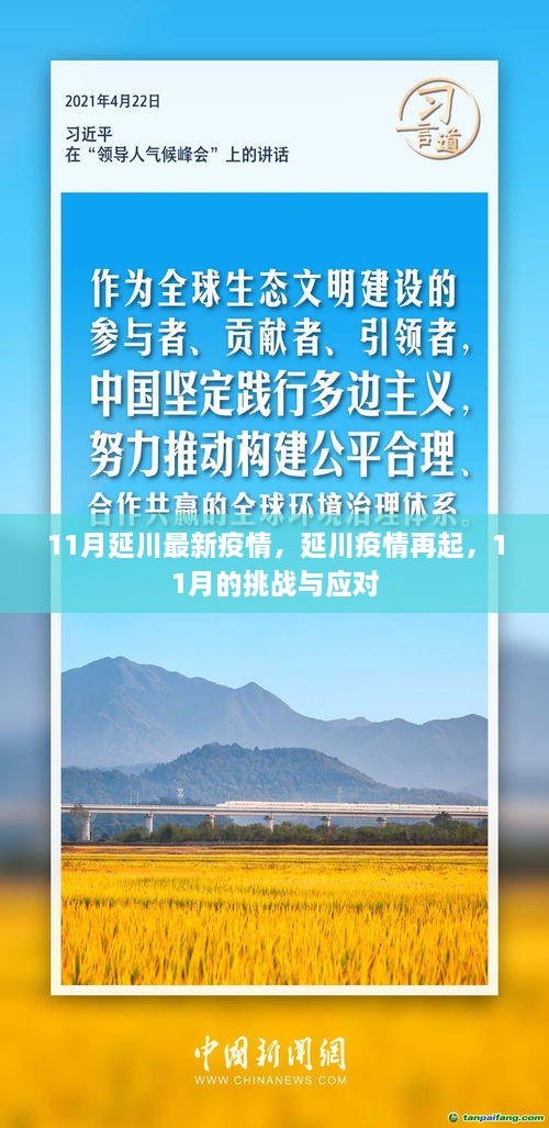 延川疫情再起，挑战与应对，11月最新动态