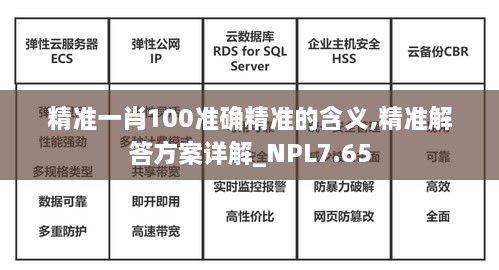 精准一肖100准确精准的含义,精准解答方案详解_NPL7.65