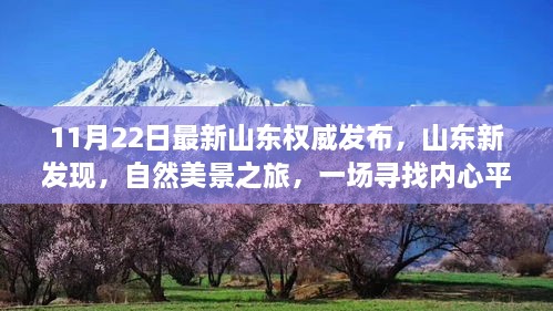 山东新发现自然美景之旅，寻找内心平静的征途