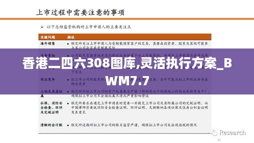 香港二四六308图库,灵活执行方案_BWM7.7