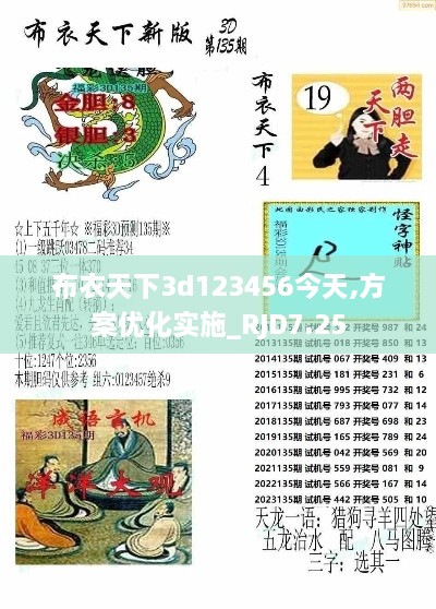 布衣天下3d123456今天,方案优化实施_RJD7.25