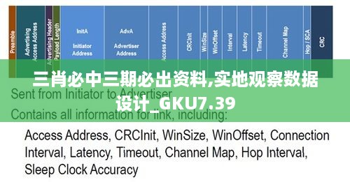 三肖必中三期必出资料,实地观察数据设计_GKU7.39