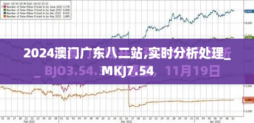 2024澳门广东八二站,实时分析处理_MKJ7.54