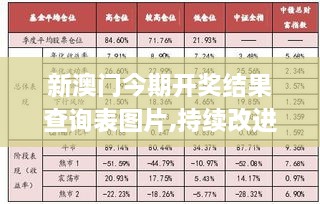 新澳门今期开奖结果查询表图片,持续改进策略_XRV7.59