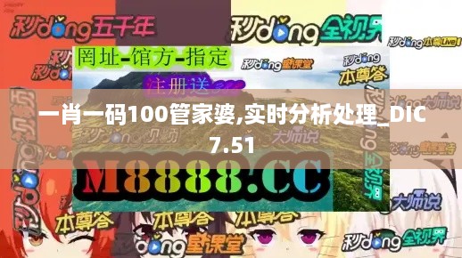 一肖一码100管家婆,实时分析处理_DIC7.51