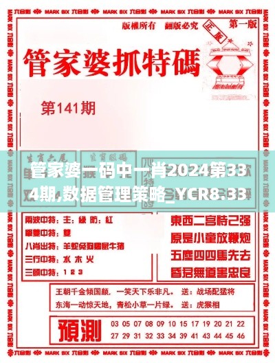 管家婆一码中一肖2024第334期,数据管理策略_YCR8.33