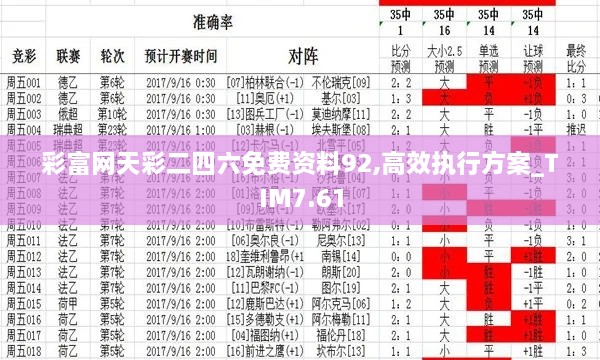 彩富网天彩二四六免费资料92,高效执行方案_TIM7.61