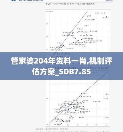 管家婆204年资料一肖,机制评估方案_SDB7.85