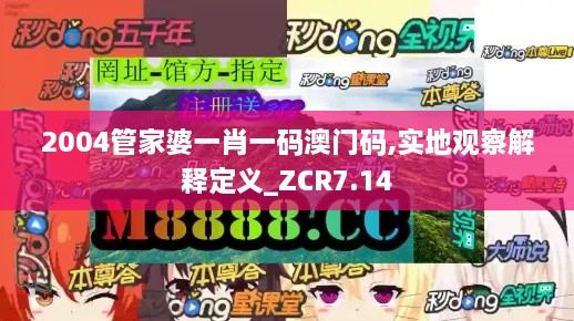 2004管家婆一肖一码澳门码,实地观察解释定义_ZCR7.14