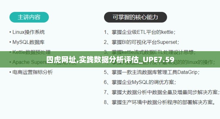 四虎网址,实践数据分析评估_UPE7.59