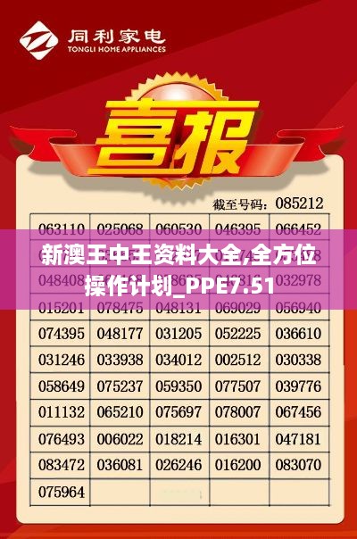 新澳王中王资料大全,全方位操作计划_PPE7.51