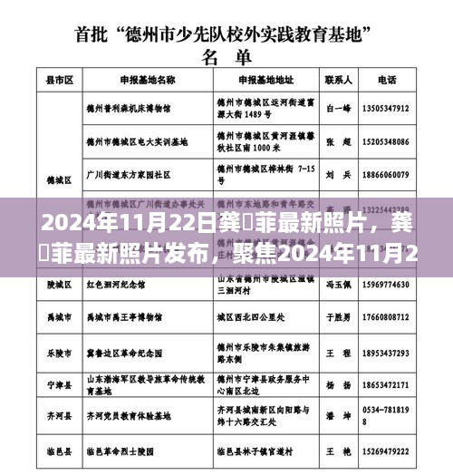 龚玥菲最新照片曝光，聚焦2024年11月22日的瞬间风采