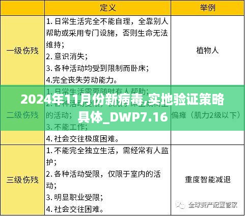 2024年11月份新病毒,实地验证策略具体_DWP7.16