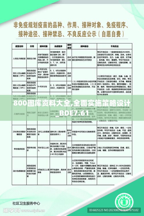 800图库资料大全,全面实施策略设计_BDE7.61