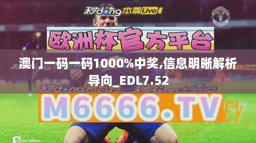 澳门一码一码1000%中奖,信息明晰解析导向_EDL7.52