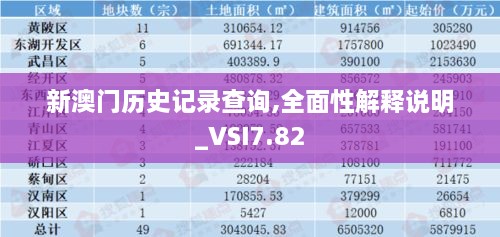 新澳门历史记录查询,全面性解释说明_VSI7.82