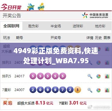 4949彩正版免费资料,快速处理计划_WBA7.95