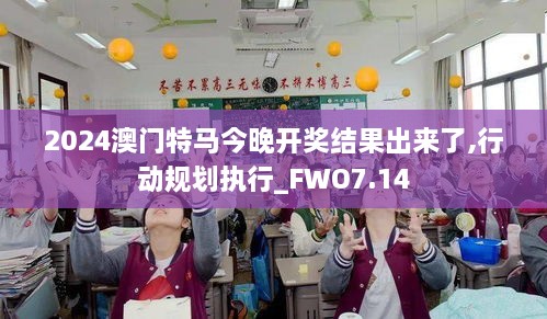 2024澳门特马今晚开奖结果出来了,行动规划执行_FWO7.14