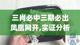 三肖必中三期必出凤凰网开,实证分析详细枕_BHA7.99