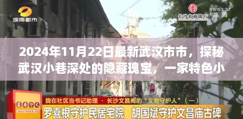 探秘武汉小巷深处的隐藏瑰宝，特色小店非凡之旅纪实（2024年11月22日最新武汉市）