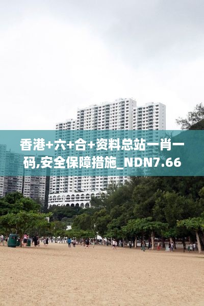 香港+六+合+资料总站一肖一码,安全保障措施_NDN7.66