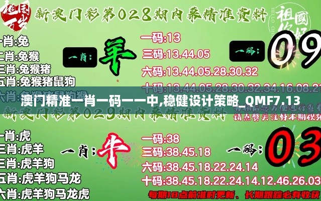 澳门精准一肖一码一一中,稳健设计策略_QMF7.13