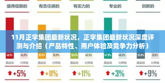 正宇集团最新深度评测报告，产品特性、用户体验与竞争力分析