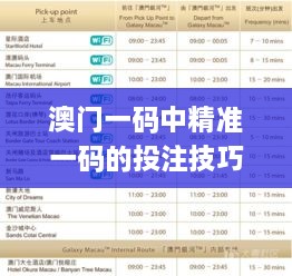 澳门一码中精准一码的投注技巧,决策支持方案_FTZ7.58