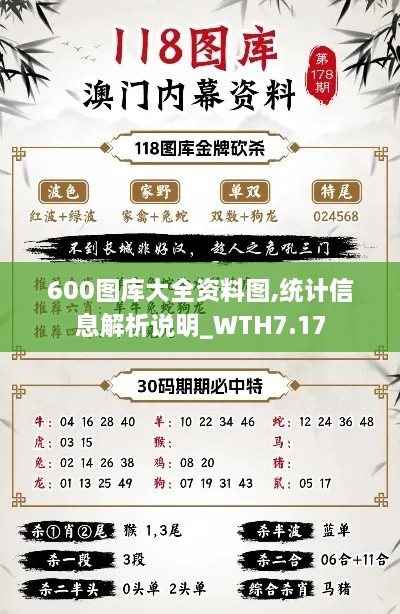 600图库大全资料图,统计信息解析说明_WTH7.17