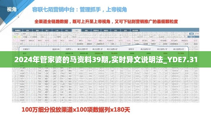 2024年管家婆的马资料39期,实时异文说明法_YDE7.31