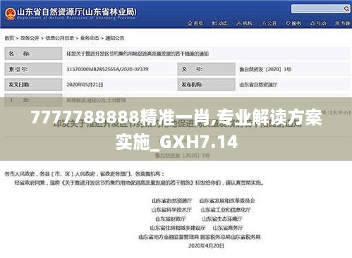 7777788888精准一肖,专业解读方案实施_GXH7.14