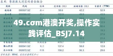 49.cσm港澳开奖,操作实践评估_BSJ7.14