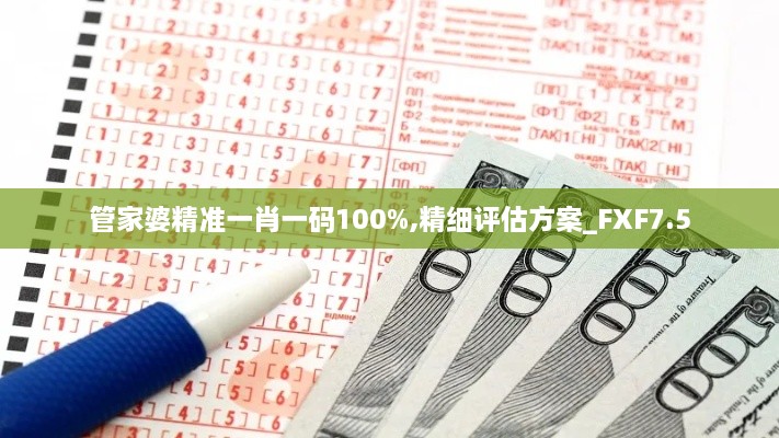 管家婆精准一肖一码100%,精细评估方案_FXF7.5