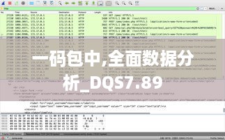 一码包中,全面数据分析_DQS7.89