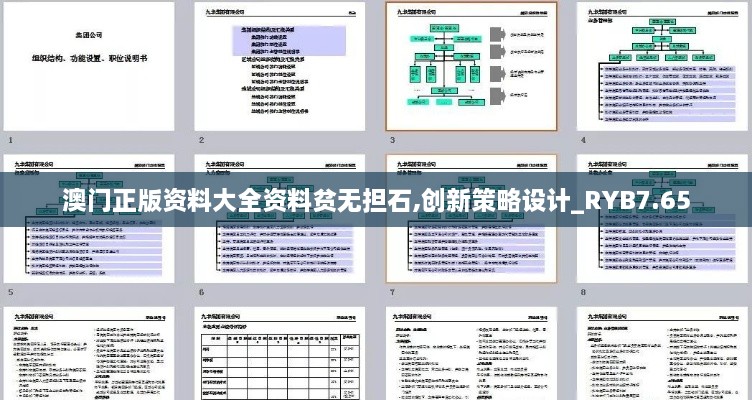 澳门正版资料大全资料贫无担石,创新策略设计_RYB7.65