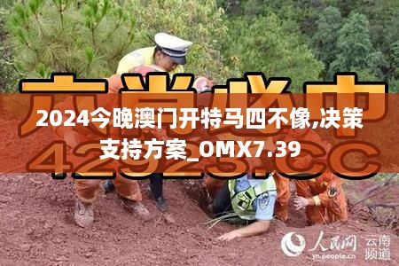 2024今晚澳门开特马四不像,决策支持方案_OMX7.39