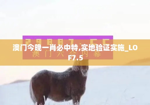 澳门今晚一肖必中特,实地验证实施_LOF7.5